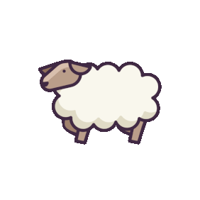 sheep